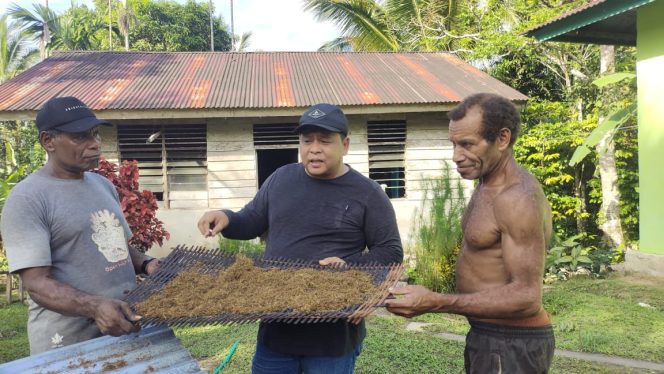 
					Budidaya Tembakau Kampung Nembukteb, Pemkab Fakfak Optimis bisa Jadikan Kampung Produksi Tembakau Negeri, (Foto: EM/Ist)
