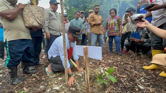 
					Bupati Fakfak: Matoa Super Perkuat Ekonomi dan Agrowisata