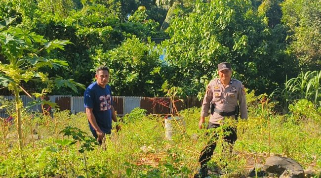 Dari Lahan Polsek untuk Negeri: Ketahanan Pangan Dimulai dari Kokas, (Foto: EM/Humas Polres Fakfak).