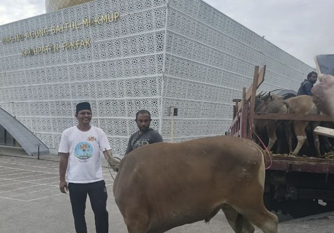 
					Jelang Idul Adha 2025, Masjid Agung Fakfak Pastikan 5 Ekor Sapi Kurban Siap Disembelih