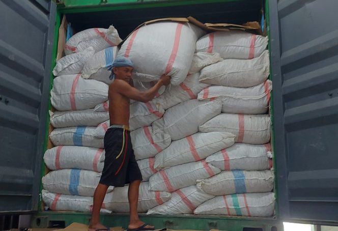 
					Satu Bulan Berjalan, Retribusi Pala Fakfak Tembus Rp136 Juta, (Foto: EM/AZT).