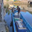 Berdayakan Warga Pesisir Fakfak, Karim Bangun Usaha Kepiting Bakau di Tanah Papua, (Foto: EM/AZT).