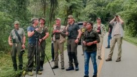 Temukan Pesona Alam Fakfak Papua Barat: Reptil Eksotis dan Burung Surga Menantimu!