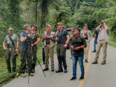 Temukan Pesona Alam Fakfak Papua Barat: Reptil Eksotis dan Burung Surga Menantimu!