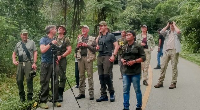Temukan Pesona Alam Fakfak Papua Barat: Reptil Eksotis dan Burung Surga Menantimu!