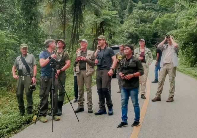 
					Temukan Pesona Alam Fakfak Papua Barat: Reptil Eksotis dan Burung Surga Menantimu!
