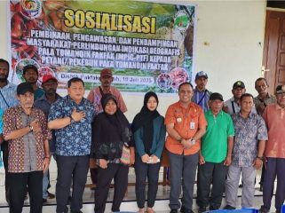 MPIG-PTF Gencarkan Sosialisasi, Petani Pala Fakfak Dibekali Pengawasan dan Pendampingan, (Foto: EM/AZT).