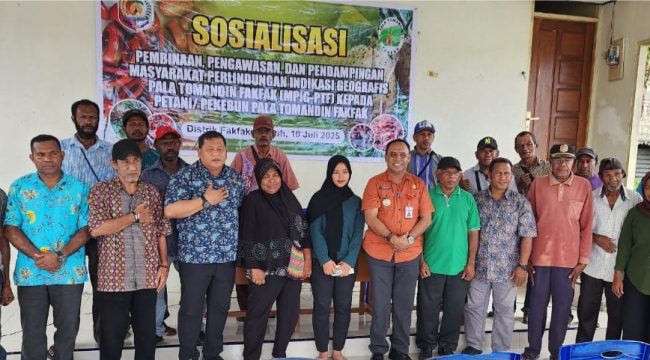 MPIG-PTF Gencarkan Sosialisasi, Petani Pala Fakfak Dibekali Pengawasan dan Pendampingan, (Foto: EM/AZT).