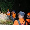 Pohon Tumbang Tutup Jalan Utama di Depan Pelabuhan Polairud, BPBD Fakfak Bertindak Cepat, (Foto: EM/AZT).
