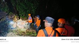 Pohon Tumbang Tutup Jalan Utama di Depan Pelabuhan Polairud, BPBD Fakfak Bertindak Cepat, (Foto: EM/AZT).