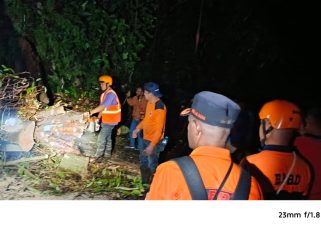 Pohon Tumbang Tutup Jalan Utama di Depan Pelabuhan Polairud, BPBD Fakfak Bertindak Cepat, (Foto: EM/AZT).