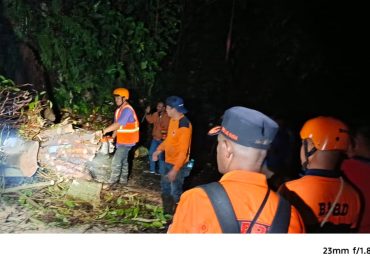Pohon Tumbang Tutup Jalan Utama di Depan Pelabuhan Polairud, BPBD Fakfak Bertindak Cepat, (Foto: EM/AZT).