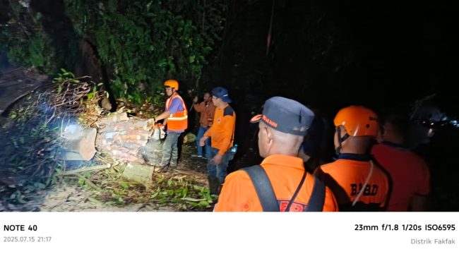 Pohon Tumbang Tutup Jalan Utama di Depan Pelabuhan Polairud, BPBD Fakfak Bertindak Cepat, (Foto: EM/AZT).