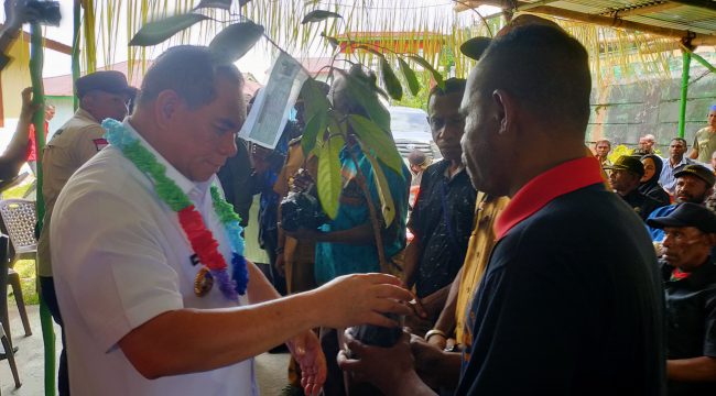 Bupati Fakfak Launching Program Strategis “Pala Unggul”, Serahkan 2.200 Bibit dan Insentif Rp110 Juta, (Foto: EM/AZT).