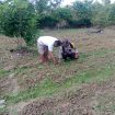 Bripka Sumardi, Wujud Nyata POLRI Sebagai Penggerak Ketahanan Pangan di Kampung Onim Sari Fakfak, (Foto: EM/Humas Polres Fakfak).