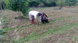 Bripka Sumardi, Wujud Nyata POLRI Sebagai Penggerak Ketahanan Pangan di Kampung Onim Sari Fakfak, (Foto: EM/Humas Polres Fakfak).