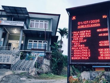 Harga pala Tomandin di Fakfak tetap stabil dan menguntungkan hingga awal Juli 2025. Permintaan ekspor tinggi, petani diminta jaga kualitas dan hindari jual pala muda, (Foto: EM/AZT).