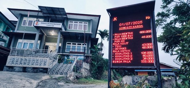 
					Harga pala Tomandin di Fakfak tetap stabil dan menguntungkan hingga awal Juli 2025. Permintaan ekspor tinggi, petani diminta jaga kualitas dan hindari jual pala muda, (Foto: EM/AZT).
