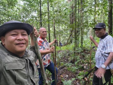 Demplot Pala di Kali Mati, Langkah Strategis Wabup Fakfak Tingkatkan Daya Saing Rempah, (Foto: EM/AZT).