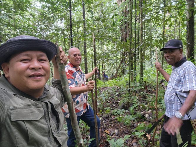 
					Demplot Pala di Kali Mati, Langkah Strategis Wabup Fakfak Tingkatkan Daya Saing Rempah, (Foto: EM/AZT).
