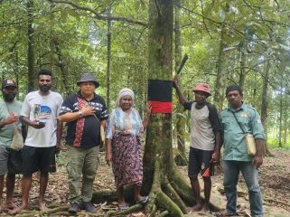 136 Pohon Induk Unggul: Fakfak Perkuat Posisi Sebagai Rumah Pala Dunia, (Foto: EM/Alfan Rahakbauw).