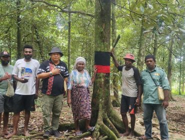 136 Pohon Induk Unggul: Fakfak Perkuat Posisi Sebagai Rumah Pala Dunia, (Foto: EM/Alfan Rahakbauw).