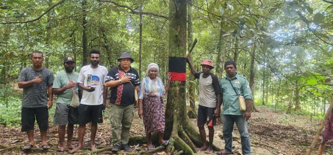 
					136 Pohon Induk Unggul: Fakfak Perkuat Posisi Sebagai Rumah Pala Dunia, (Foto: EM/Alfan Rahakbauw).