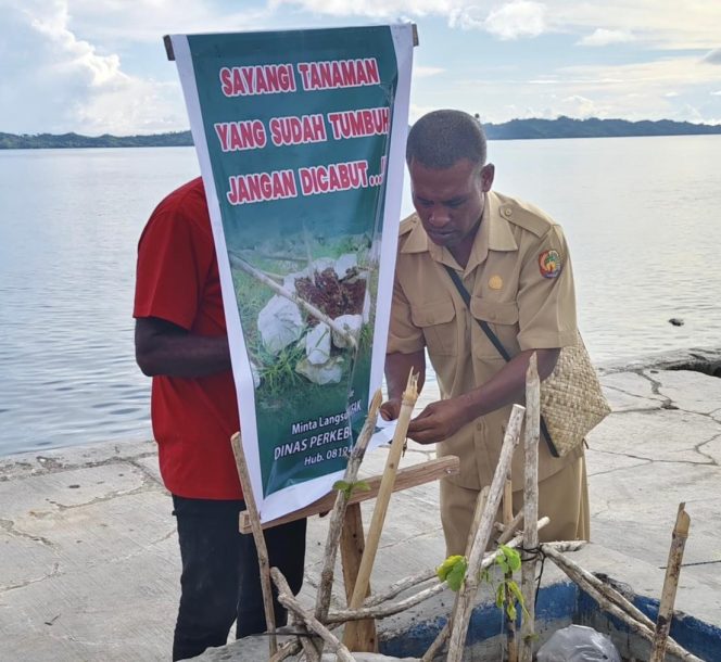 
					Dinas Perkebunan Fakfak Tegaskan: Jangan Cabut Tanaman Pelestarian!