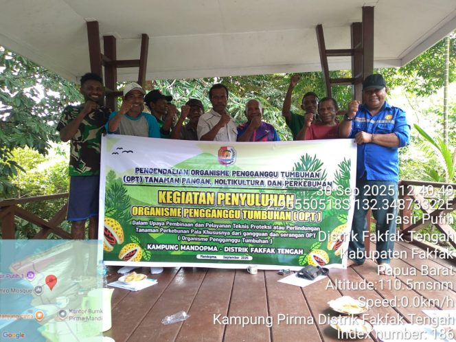 
					Dinas Perkebunan Fakfak Dorong Tanaman Pala Sehat Lewat Edukasi OPT