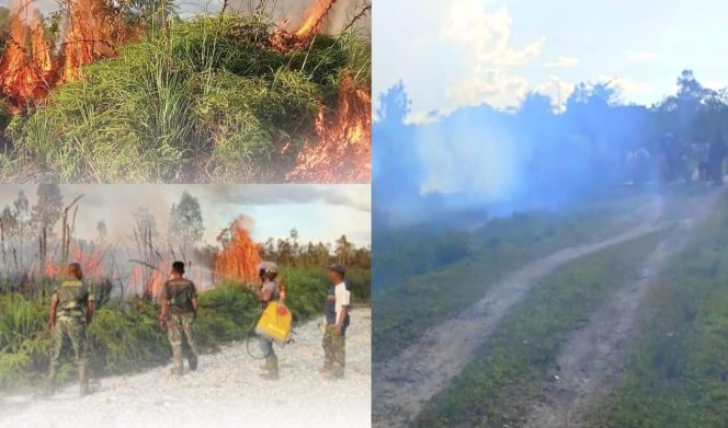 
					Tanggap Cepat Dandim 1803/Fakfak, Kobaran Api di Distrik Bomberay Berhasil Dipadamkan