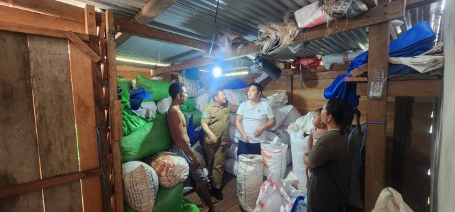 
					Gandeng Buyer Internasional, Fakfak Mantapkan Program Pala Unggul