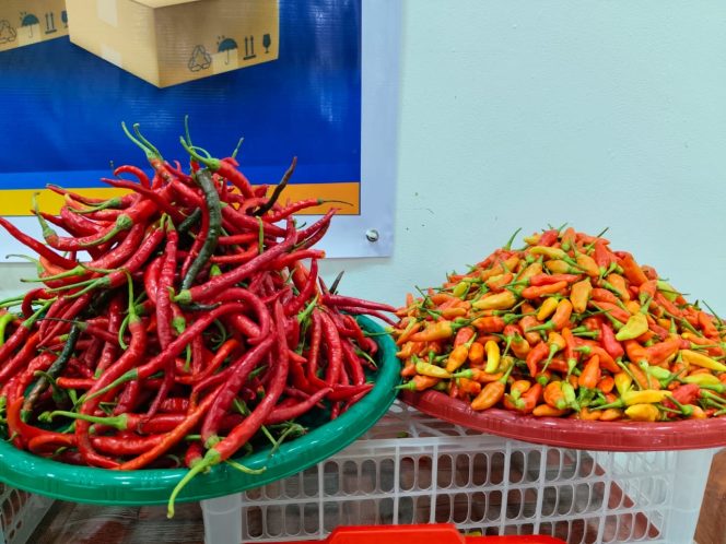 
					Cabai Rawit Jadi Sorotan di Fakfak: Harga Melesat Jelang Nataru