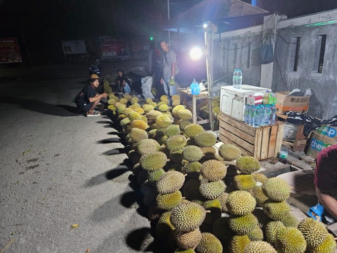 
					Tak Sekadar Buah, Durian Fakfak Diusulkan Jadi Andalan Perkebunan Daerah