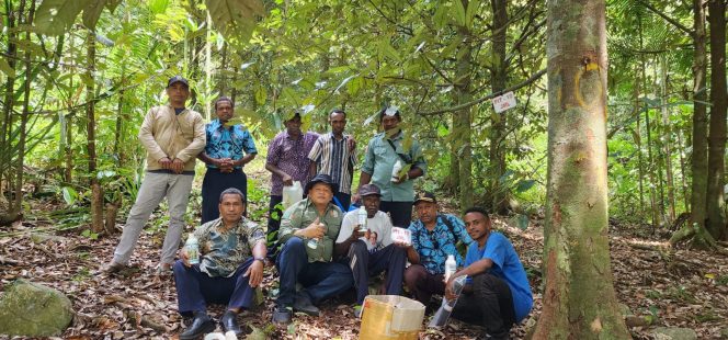 
					Pemkab Fakfak Benahi Kebun Induk Pala Tomandin, Fondasi Pala Unggul dan Perlindungan Indikasi Geografis
