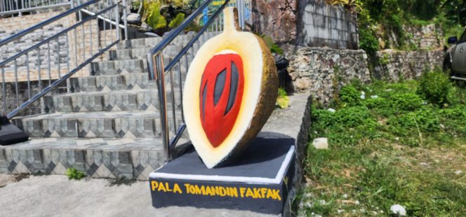 
					Berfoto Sambil Belajar Sejarah: Ikon Selfie Buah Pala Tomandin di Fakfak